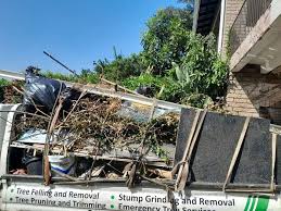 Shed Removal in Plymouth, IN